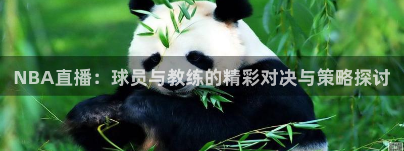 意昂2体育4