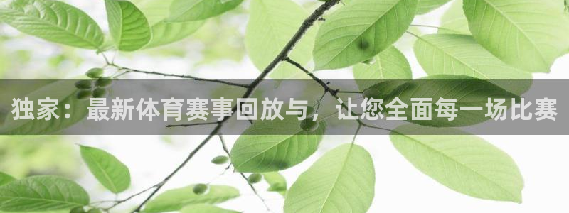 意昂2体育凯捷代理注册