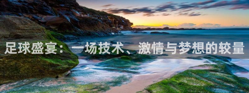 意昂2体育官网入口登录