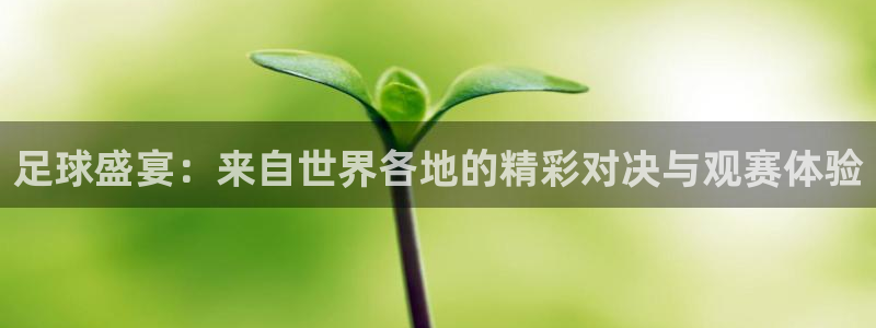 意昂2平台招商