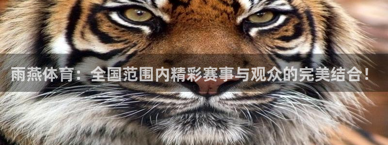 意昂2体育f开号