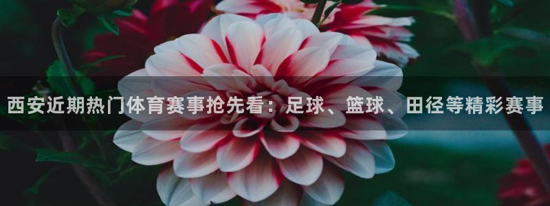 意昂22体育