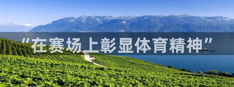 意昂2体育官网入口登录