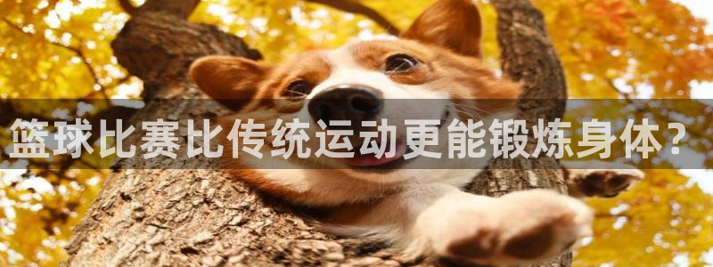 意昂2体育官网登录